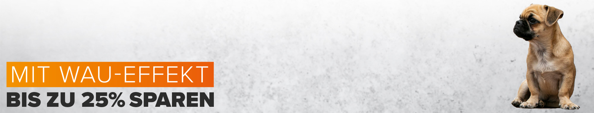Flüssigabdichtung /-kunststoff Bannerimage