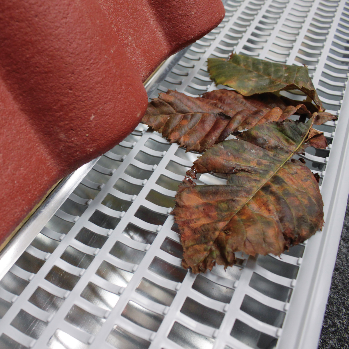 Laubschutz-Gitter für Dachrinne aus PP Laubschutz-Gitter für Dachrinne aus PP