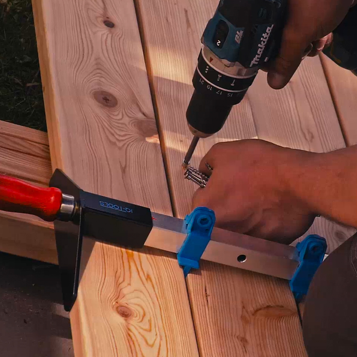 Terrassen-Dielenzwinge