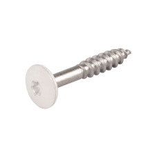 TACOTWIST Fassadenschraube TX20