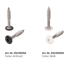 TACOTWIST Fassadenschraube TX20